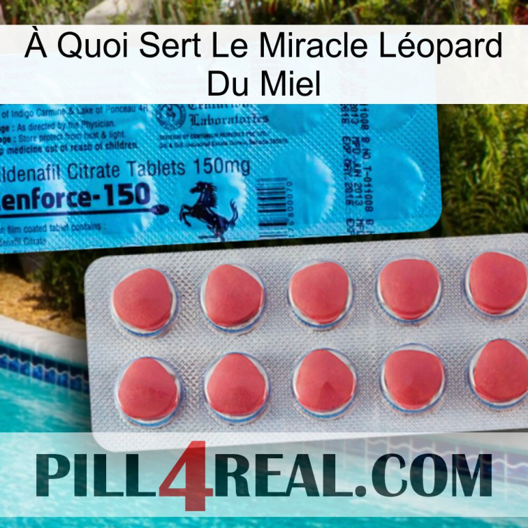 À Quoi Sert Le Miracle Léopard Du Miel new14